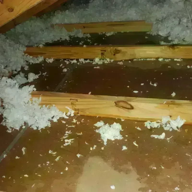 Attic Water Damage in Astor, FL