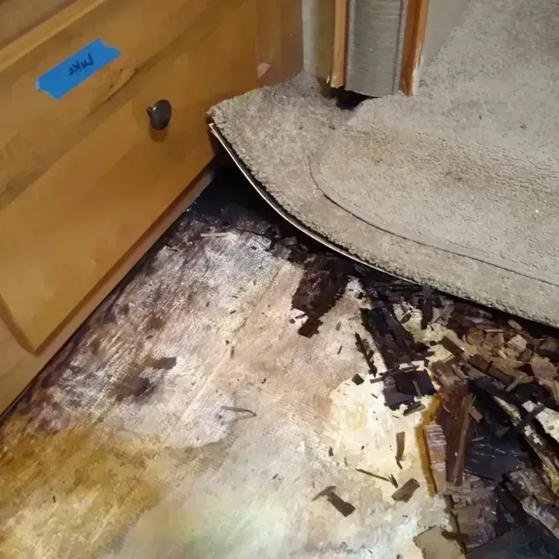 Wood Floor Water Damage in Astor, FL